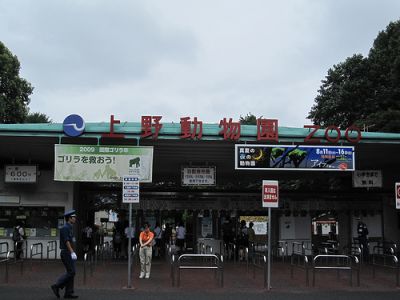 花見