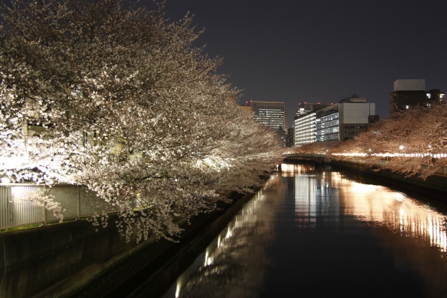 イベント