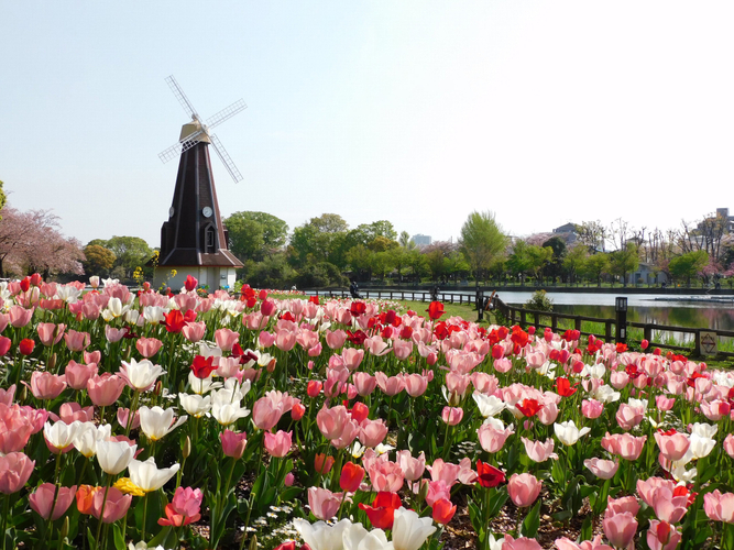 イベント