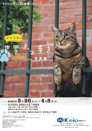イベント